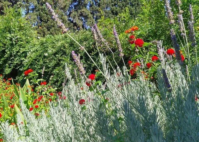 Dalia 빌라 *